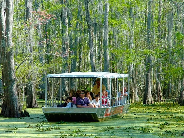 A tour boat filled with passengers navigates through Honey Island Swamp.