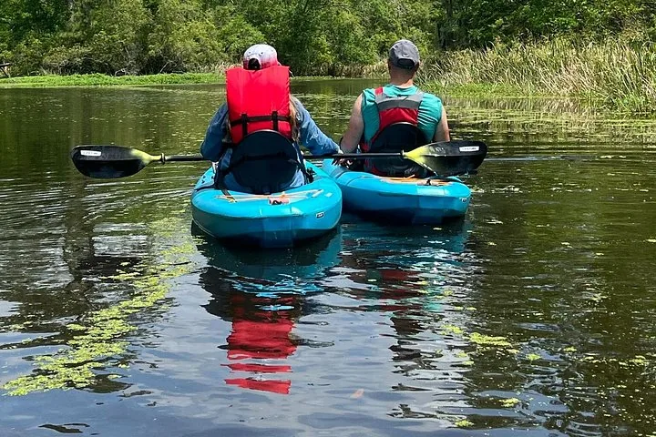 Two people kayaking tandem through duckweed-covered water in a sunny swamp.