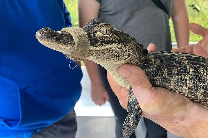 Photo de la visite